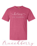 Load image into Gallery viewer, Holmes County FL Comfort Color T-Shirts